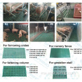 Slatted Floor For Sow Piglet Nursery Babi